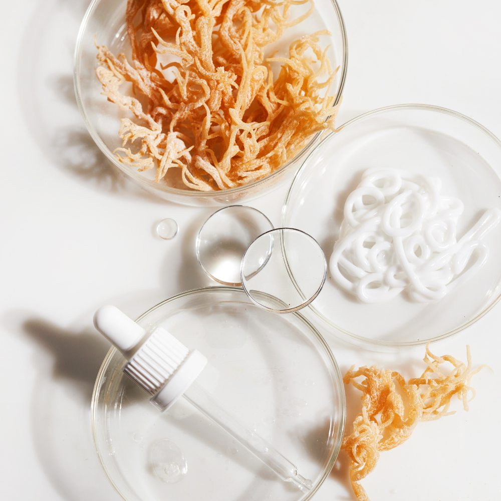How to Use Sea Moss Gel: Practical Tips & Recipes