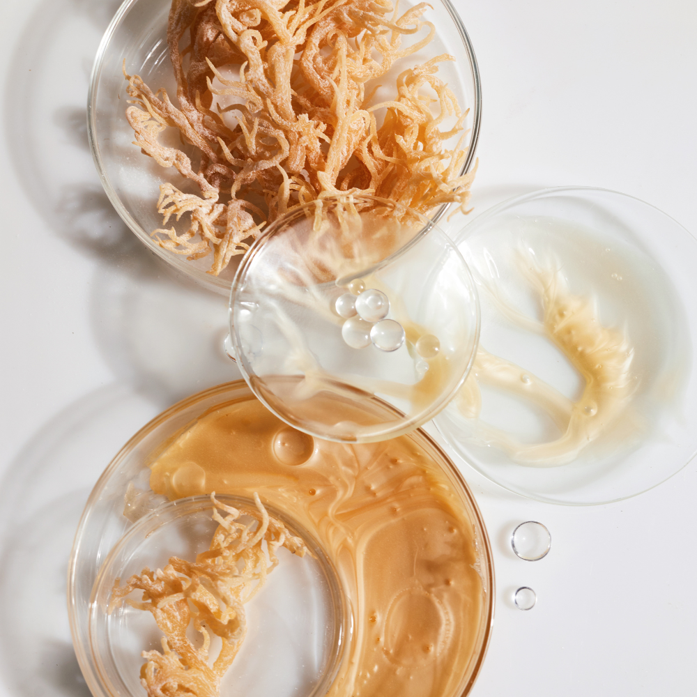 Sea Moss for Skin: A Natural Secret to Healthy, Radiant Skin